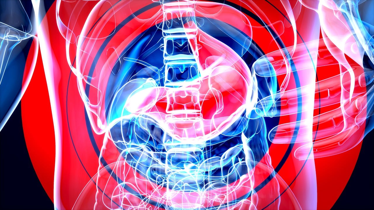 Verbindung zwischen Darm und Psyche